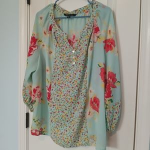 Zac & Rachel, size 2x, Baby blue flowery long sleeve blouse